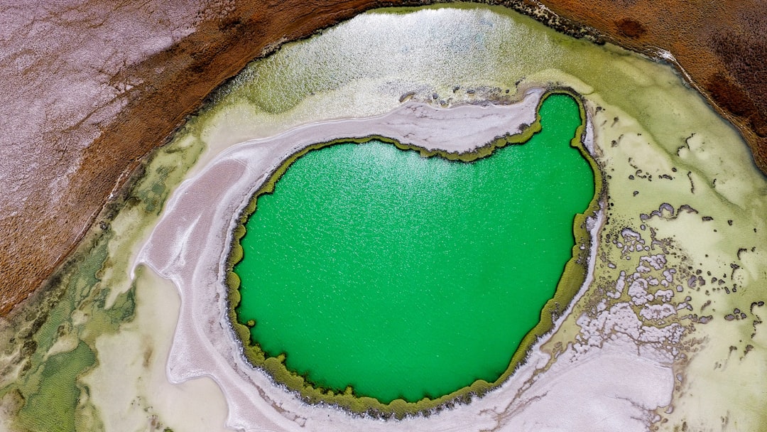 Zdrowie w chlorofilu: korzyści płynnego suplementu